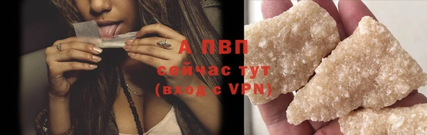 стаф Баксан