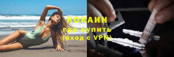 стаф Баксан