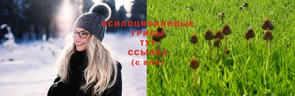 стаф Баксан