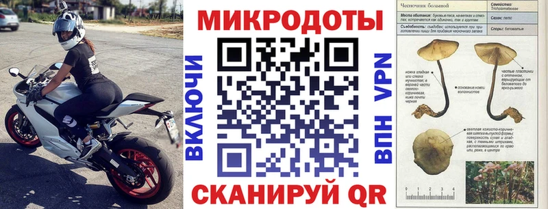 Галлюциногенные грибы Cubensis  как найти   Белоозёрский 